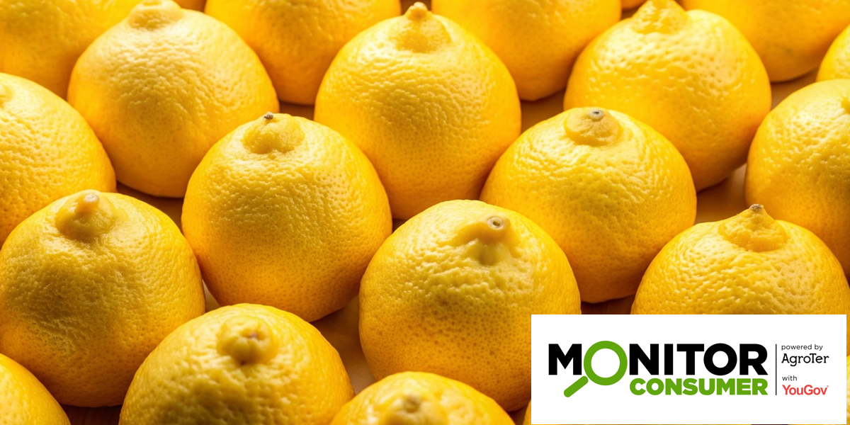 Vendite di limoni a picco, solo il Nord Est traina